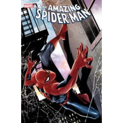 AMAZING SPIDER-MAN 52 LR CHECCHETTO VAR 