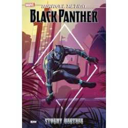 MARVEL ACTION BLACK PANTHER TP BOOK 1 STORMY WEATHER