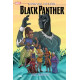 MARVEL ACTION BLACK PANTHER TP BOOK 2 RISE TOGETHER