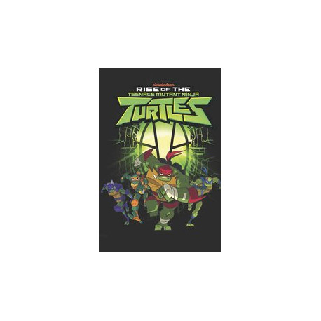 TMNT RISE OF THE TMNT TP VOL 1