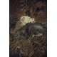 WITCHER FADING MEMORIES 2 CVR A CAGLE