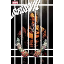 DAREDEVIL 25