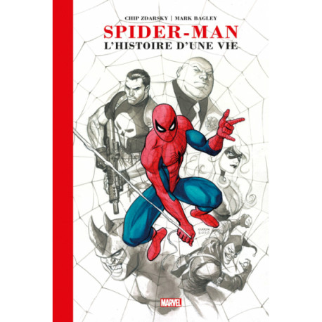 SPIDER-MAN : L'HISTOIRE D'UNE VIE (ARTIST EDITION)