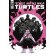 TMNT ONGOING 113 CVR A SOPHIE CAMPBELL