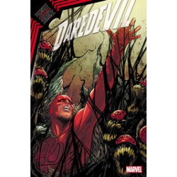 DAREDEVIL 26 KIB