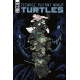 TMNT ONGOING 114 CVR A SOPHIE CAMPBELL
