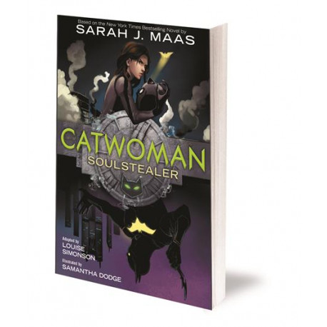 catwoman soulstealer the graphic novel catwoman soulstealer the graphic novel