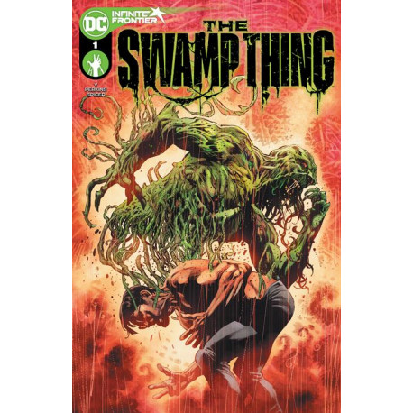 SWAMP THING 1 OF 10 CVR A MIKE PERKINS