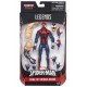 SPIDERMAN EDGE OF SPIDER VERSE MARVEL LEGENDS ACTION FIGURE