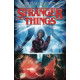 STRANGER THINGS TP VOL 1 OTHER SIDE