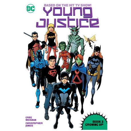 YOUNG JUSTICE BOOK 2 GROWING UP