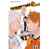 HAIKYU T41