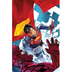 CHECKMATE 4 OF 6 CVR A ALEX MALEEV