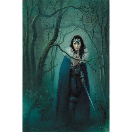 WONDER WOMAN 772 CVR B MIDDLETON CARDSTOCK VAR
