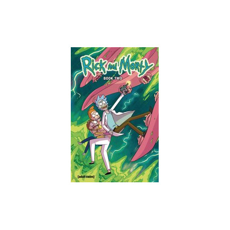 RICK AND MORTY HC BOOK 2 DLX ED