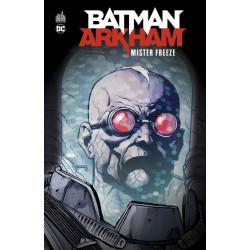 BATMAN ARKHAM : MR FREEZE