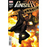 PUNISHER 8
