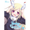 TOMBEE DU CIEL T15