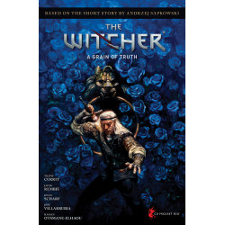 ANDRZEJ SAPKOWSKIS THE WITCHER A GRAIN OF TRUTH HC 