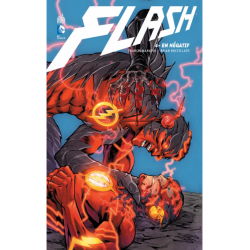FLASH T04