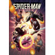 SPIDER-MAN 17