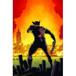 MARVEL UNIVERSE VS WOLVERINE 4 (OF 4)