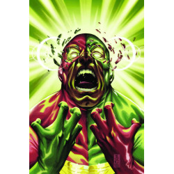 AVENGERS INITIATIVE 19 SI