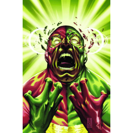 AVENGERS INITIATIVE 19 SI