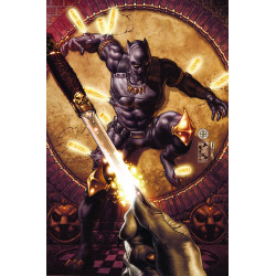 BLACK PANTHER MAN WITHOUT FEAR 515