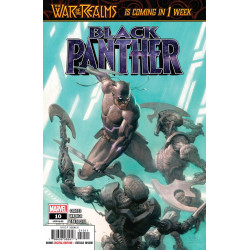 BLACK PANTHER 10