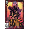 BLACK PANTHER 11
