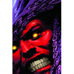 HULK 48