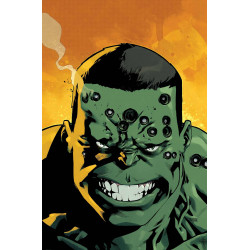 INDESTRUCTIBLE HULK 20