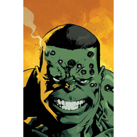 INDESTRUCTIBLE HULK 20
