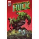 INCREDIBLE HULK 3