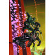 UNCANNY X-FORCE 29