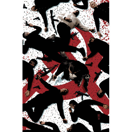 THE PUNISHER 17 (MR)