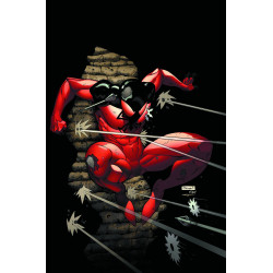SCARLET SPIDER 4