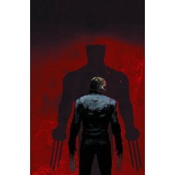 ULTIMATE COMICS WOLVERINE 4 (OF 4)
