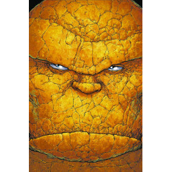 ULTIMATE FANTASTIC FOUR 14
