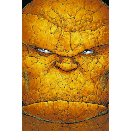 ULTIMATE FANTASTIC FOUR 14