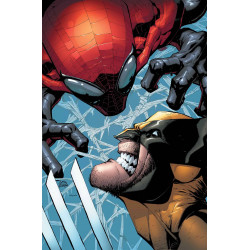 WOLVERINE 2 ANMN