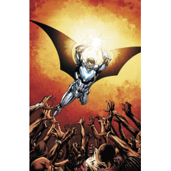 BATWING 14