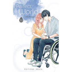 PERFECT WORLD - TOME 11
