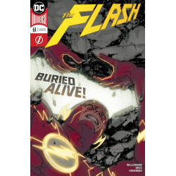 FLASH 61