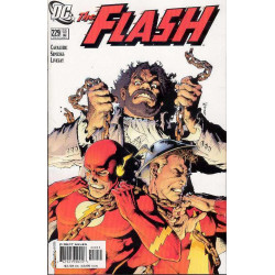 FLASH 229