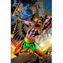 SAVAGE HAWKMAN 19