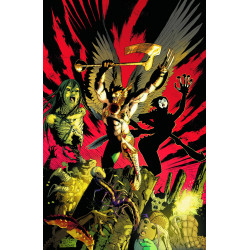 SAVAGE HAWKMAN 18