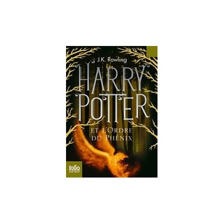 HARRY POTTER ET L'ORDRE DU PHENIX