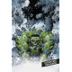 IMMORTAL HULK : A GRANDS POUVOIRS